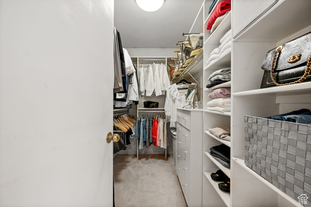 Spacious closet with carpet