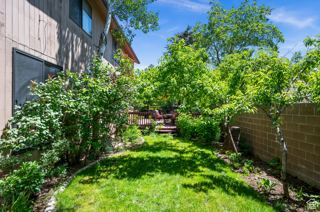 View of yard featuring a wooden deck