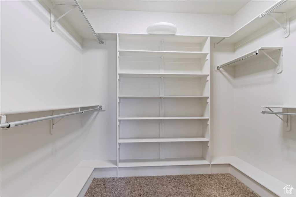 Walk in closet featuring carpet