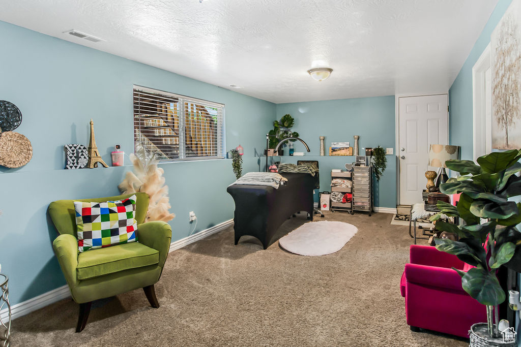 Carpeted home office with a textured ceiling and baseboards