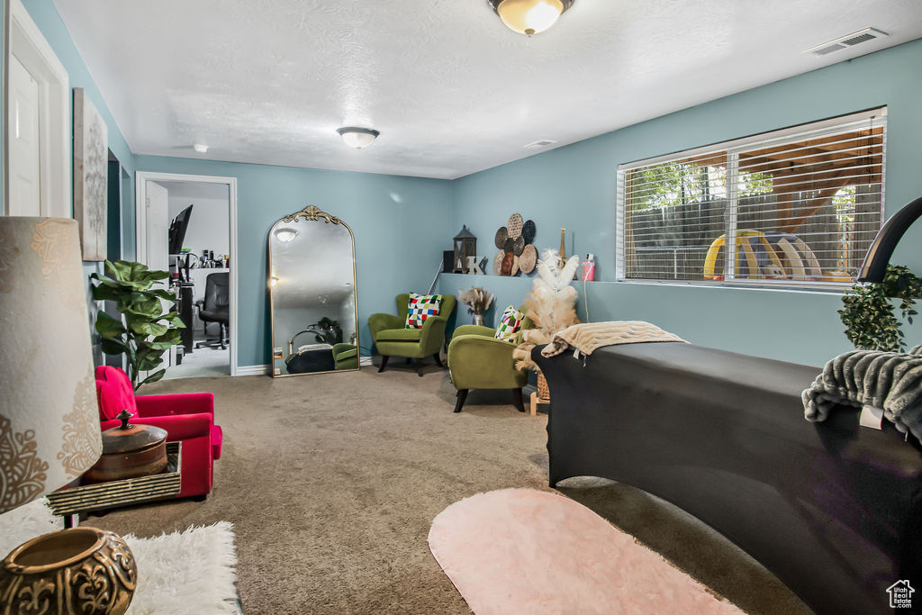 Carpeted living room with baseboards and a textured ceiling