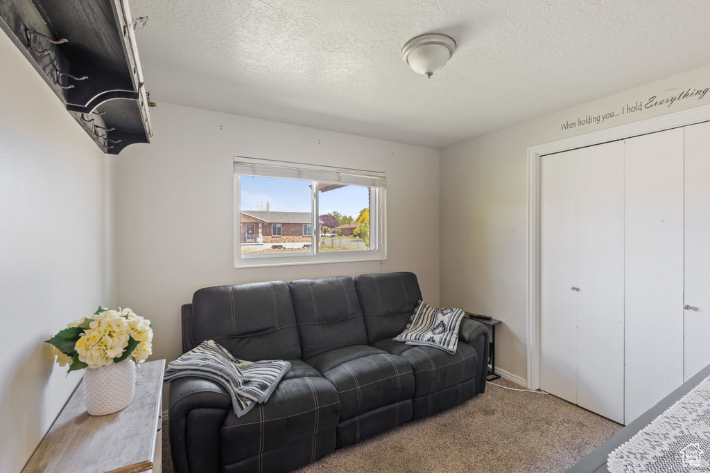 Carpeted living room with a textured ceiling