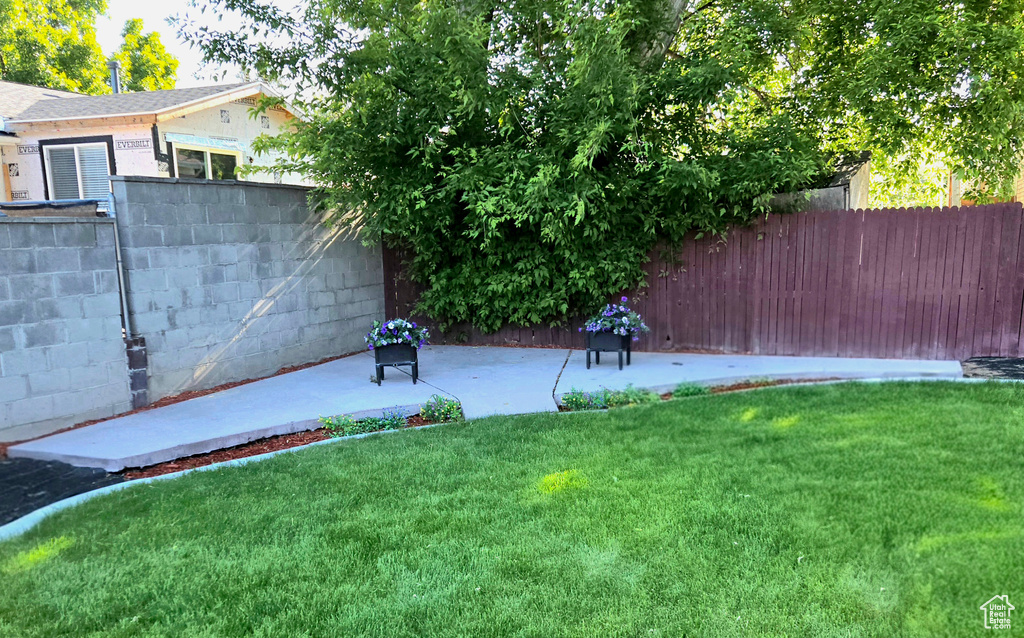 View of yard featuring a patio area