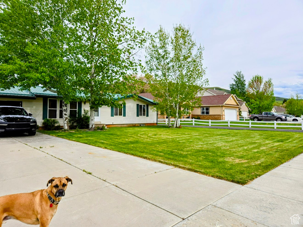 View of ranch-style house