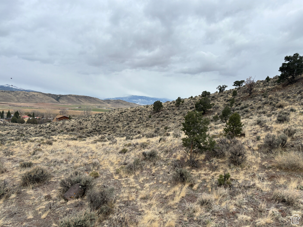 Mountain view