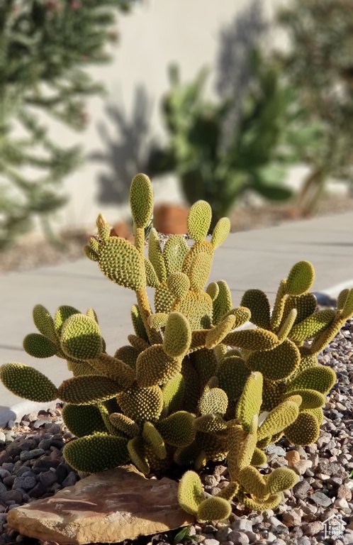 Detailed view