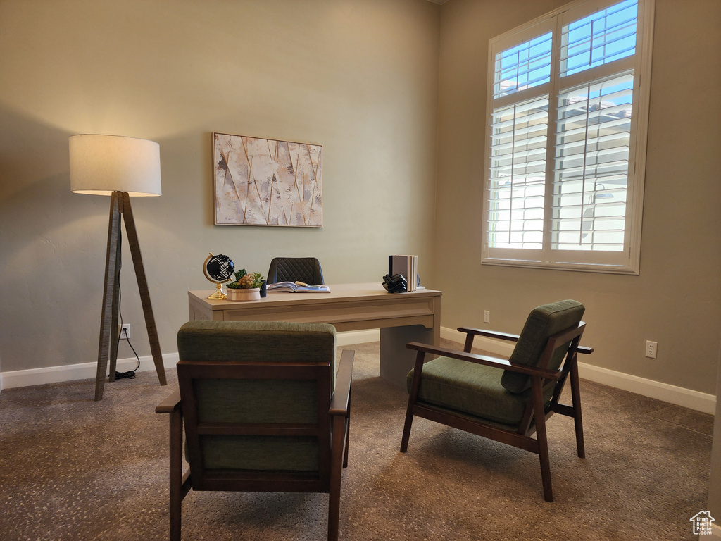 Office area featuring plenty of natural light, baseboards, and carpet floors