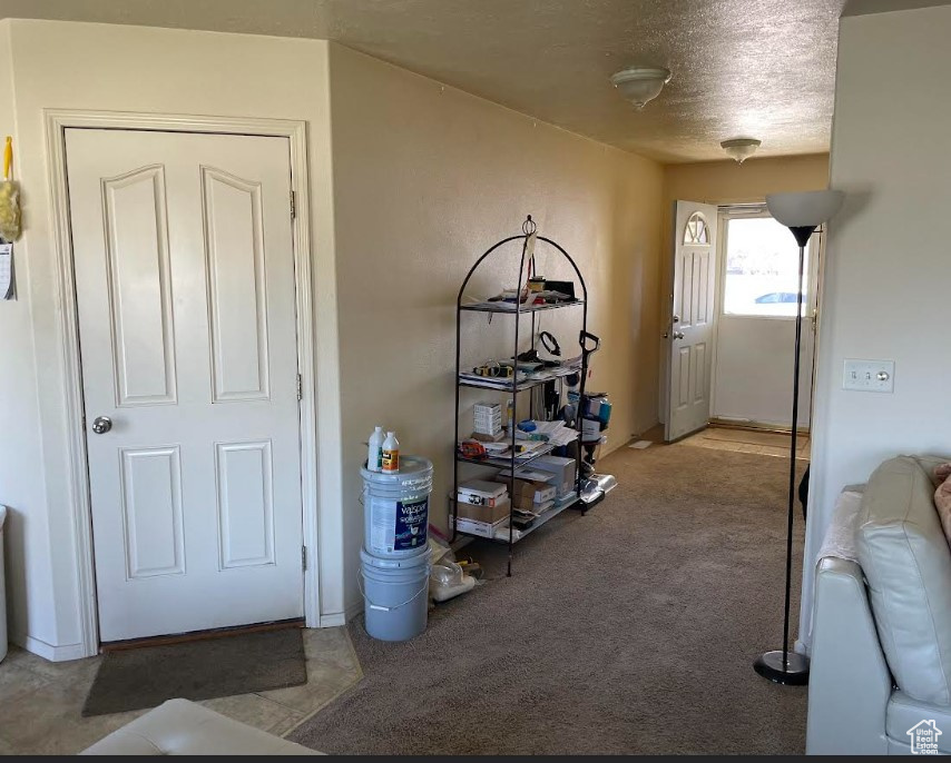 Living area with carpet and a textured ceiling