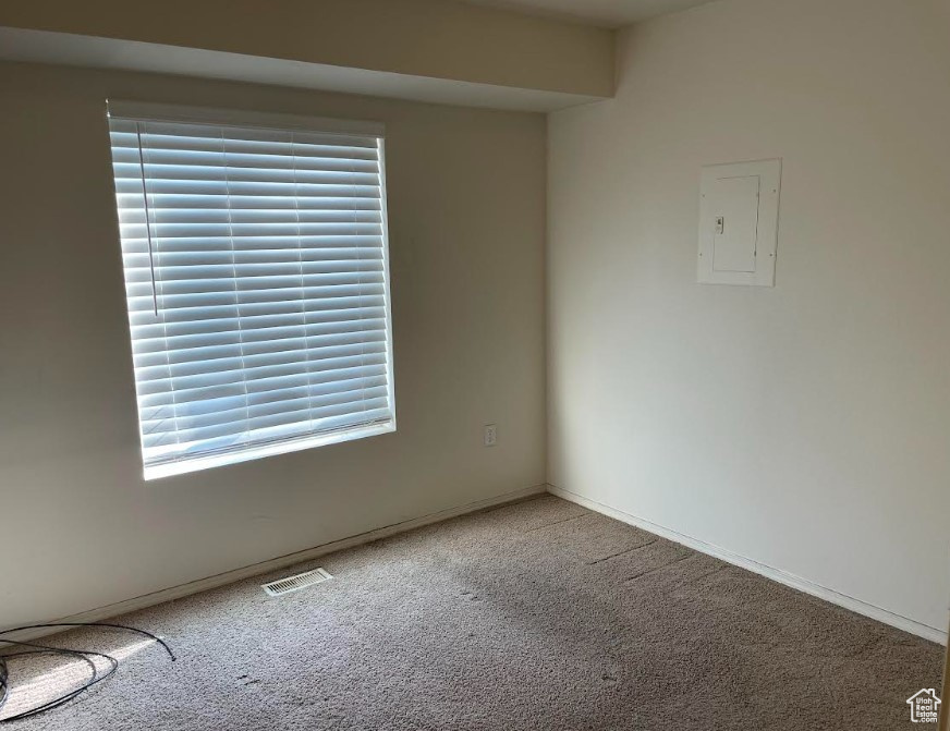 Carpeted spare room featuring plenty of natural light and electric panel