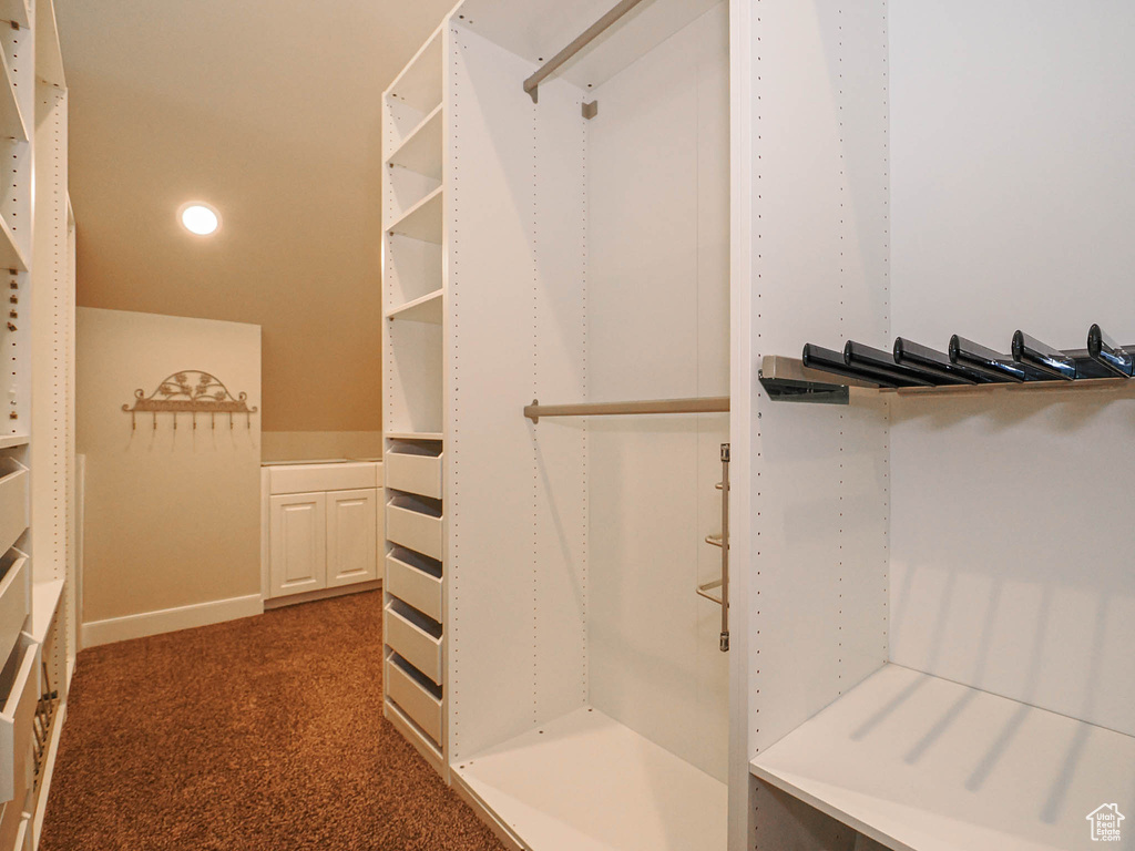 Walk in closet with carpet