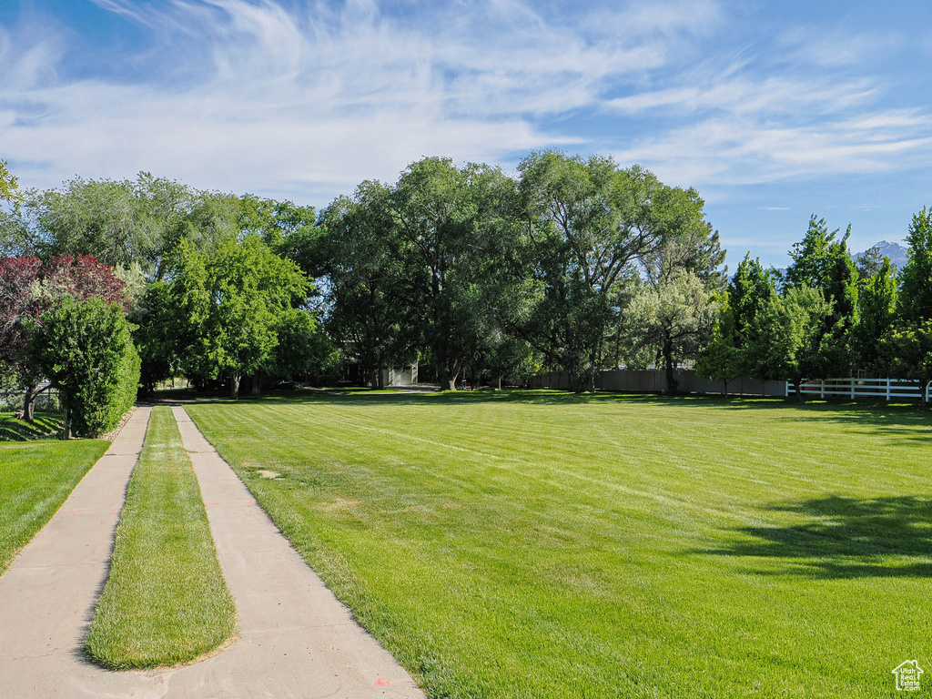 View of yard featuring view of wooded area