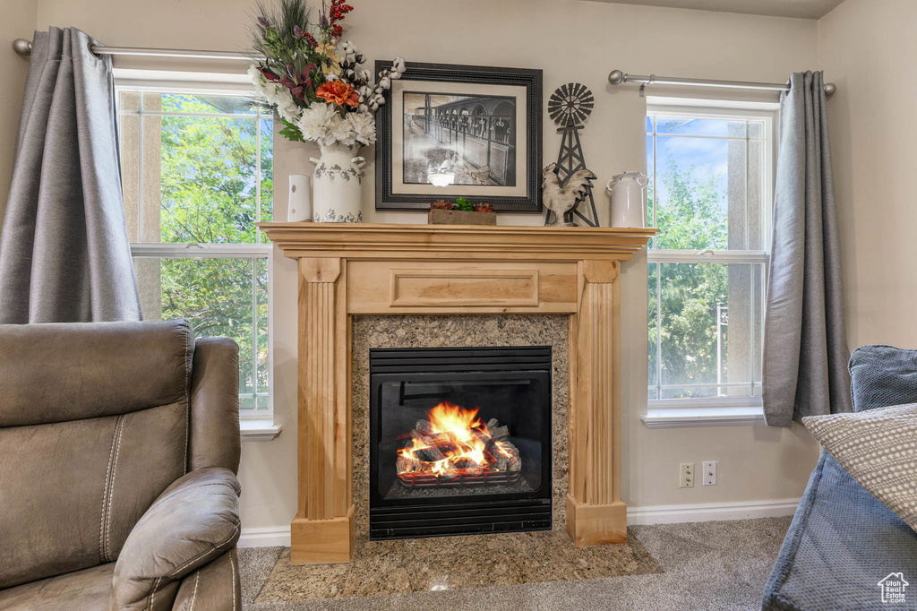 Sitting room with a premium fireplace, baseboards, plenty of natural light, and carpet flooring