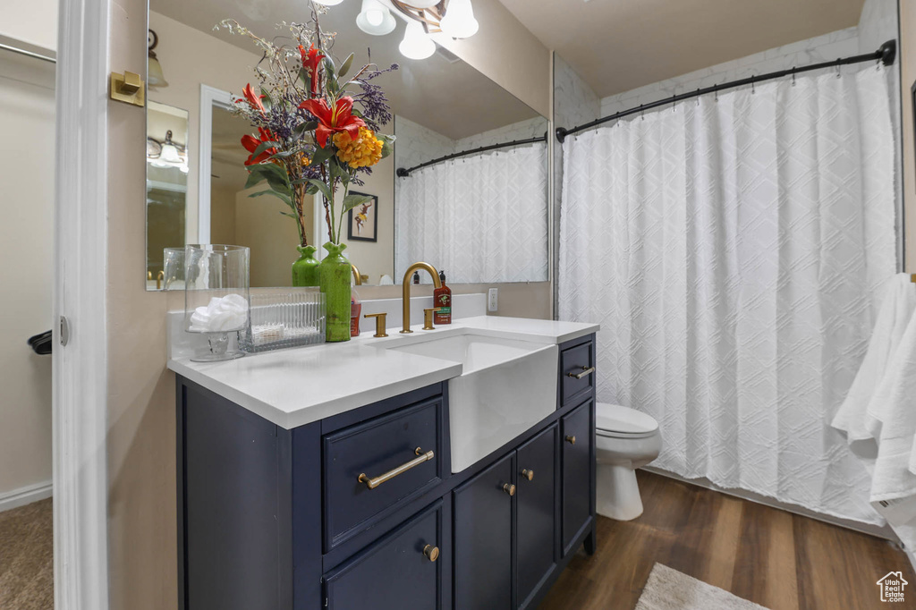 Bathroom with vanity, wood finished floors, and toilet