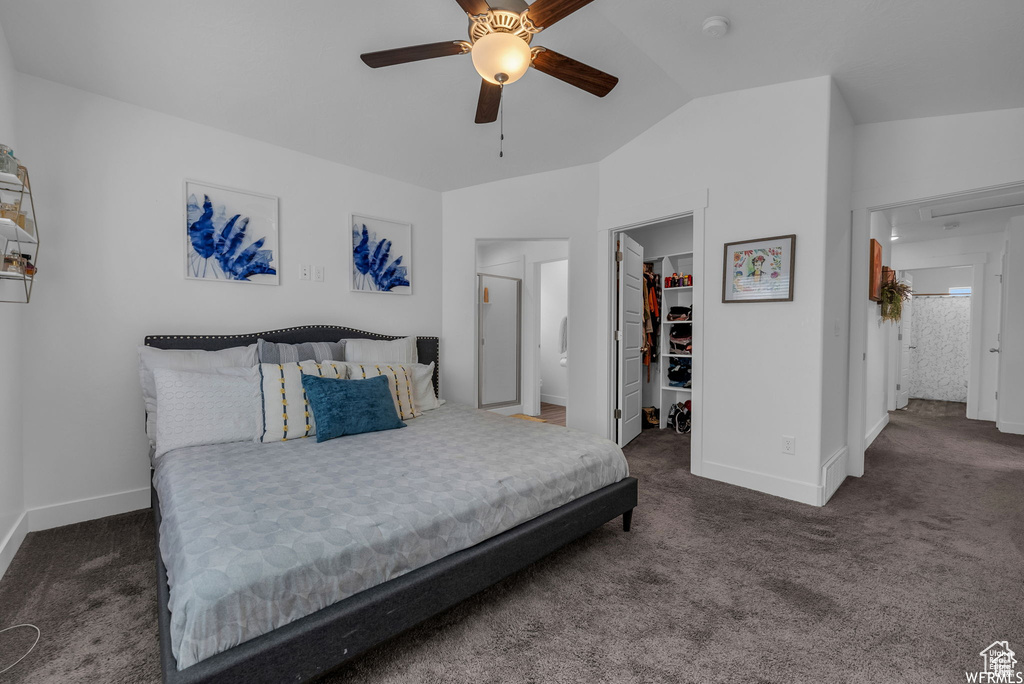 Carpeted bedroom featuring a spacious closet, lofted ceiling, baseboards, a closet, and a ceiling fan
