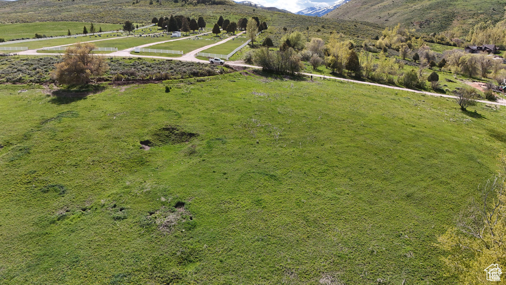 1  CEMETERY Bloomington, ID 83223