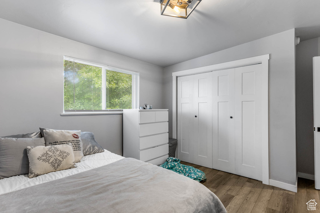 Bedroom with wood finished floors, baseboards, and a closet