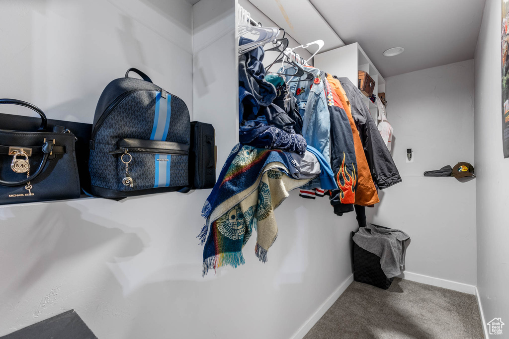 Spacious closet with carpet floors