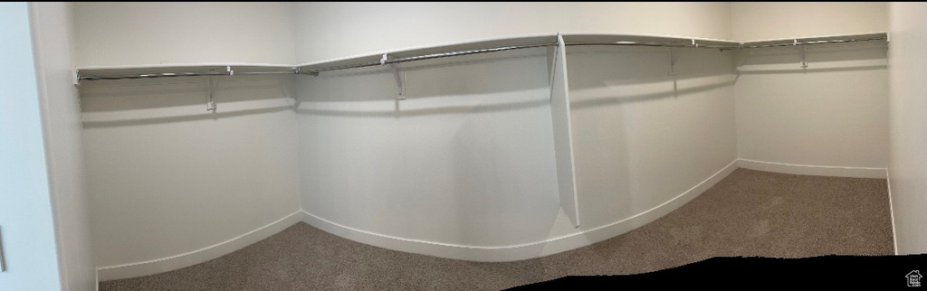 Spacious closet featuring carpet