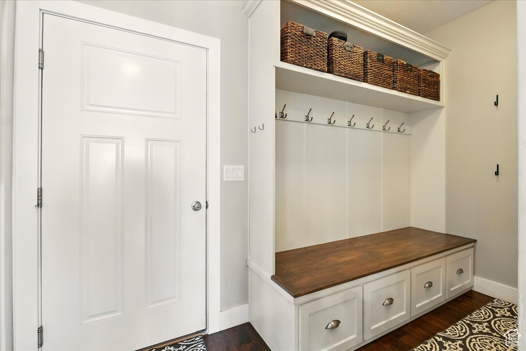 Mudroom featuring baseboards and dark wood-type flooring