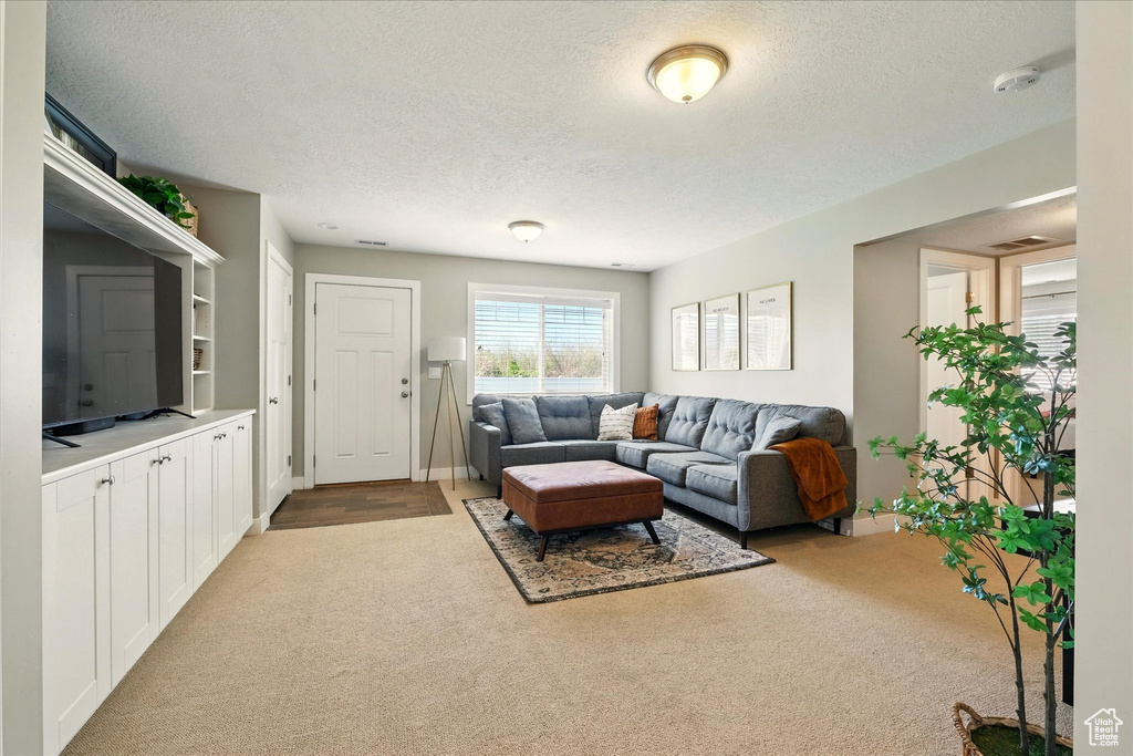 Living room with light colored carpet and a textured ceiling