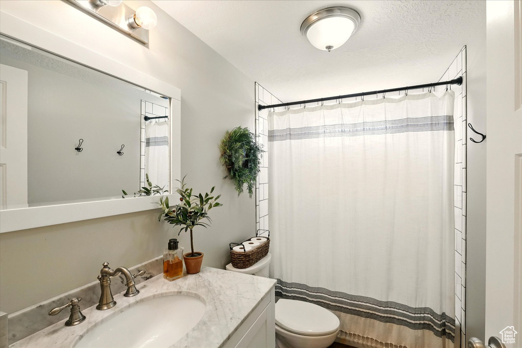 Bathroom featuring vanity, toilet, and curtained shower