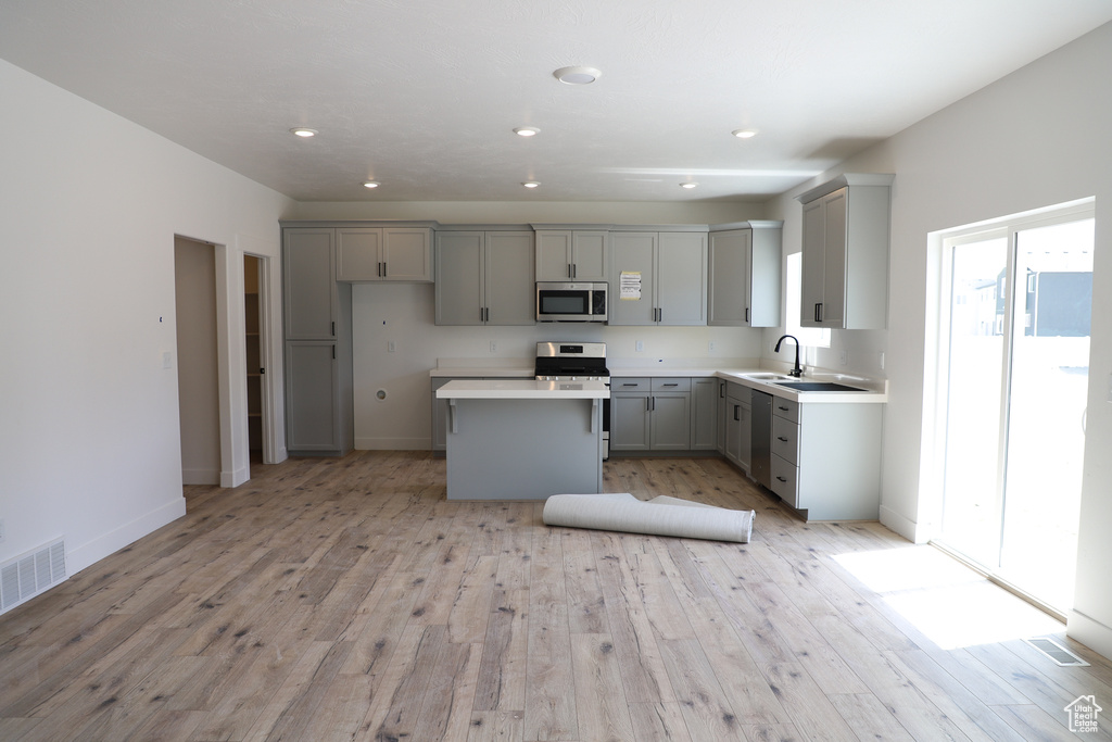 Kitchen with stainless steel appliances, gray cabinets, a sink, a center island, and light wood finished floors