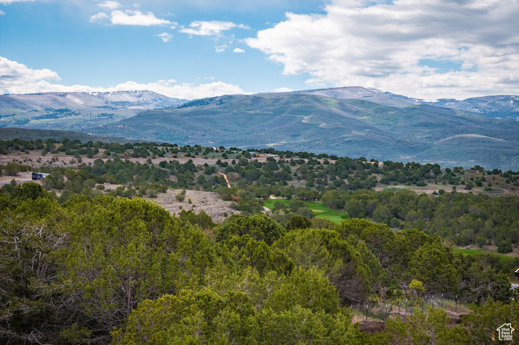 Mountain view