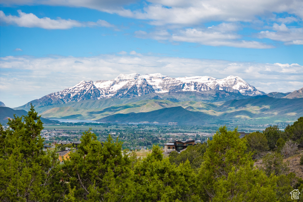 View of mountain background