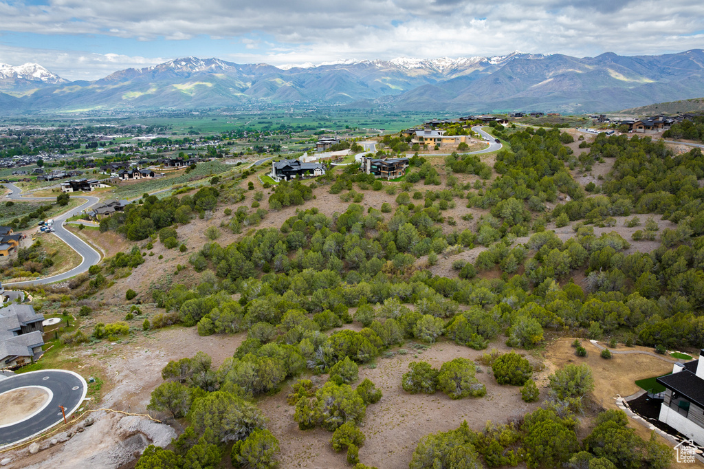 Aerial view of a mountain backdrop