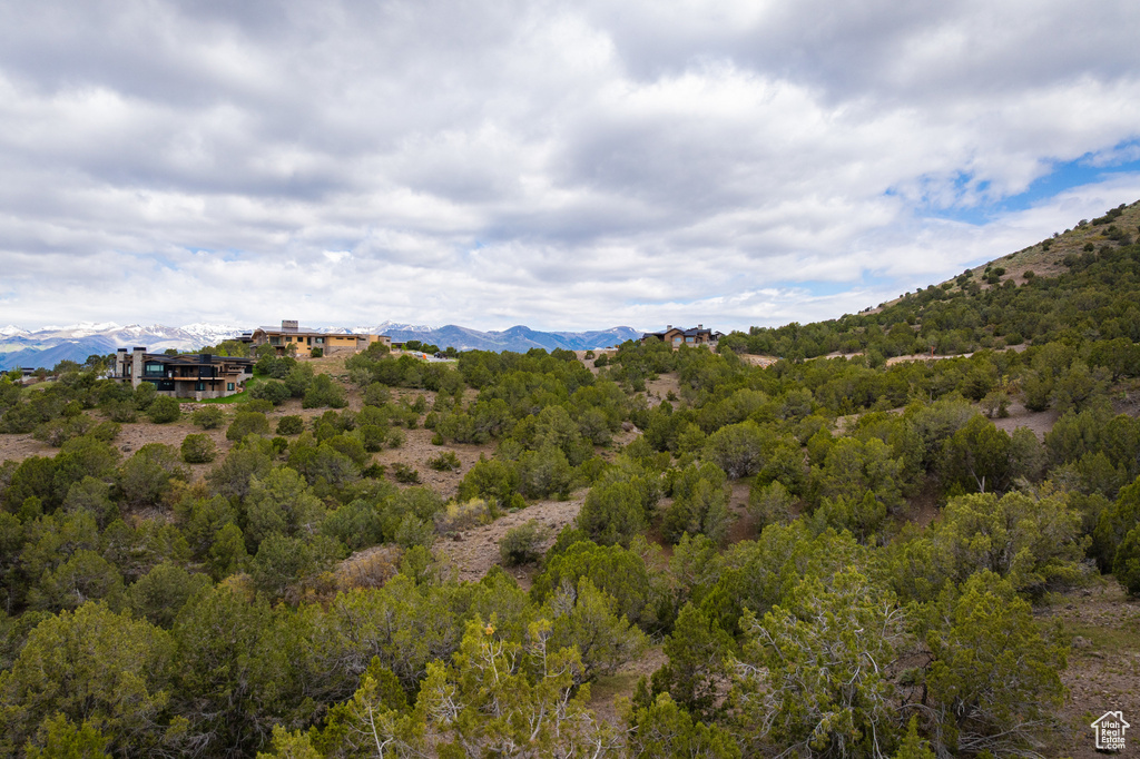 Mountain view with a forest