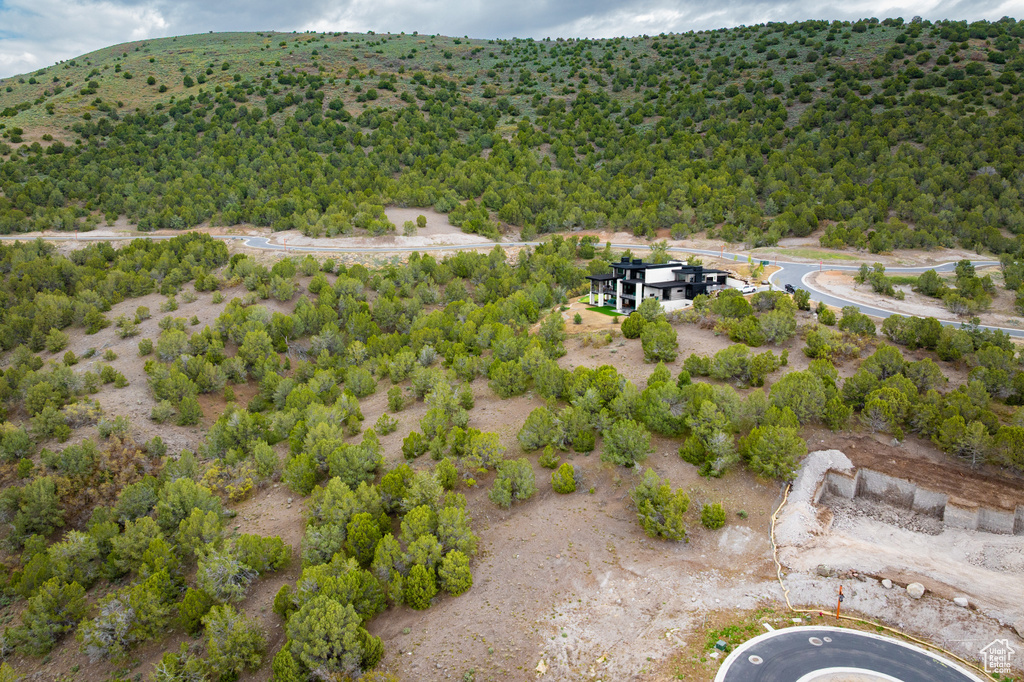 Bird's eye view of a heavily wooded area