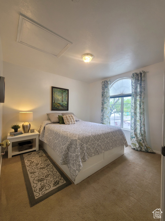 Bedroom featuring carpet floors