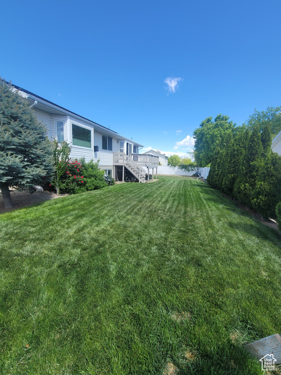 View of green lawn with stairs