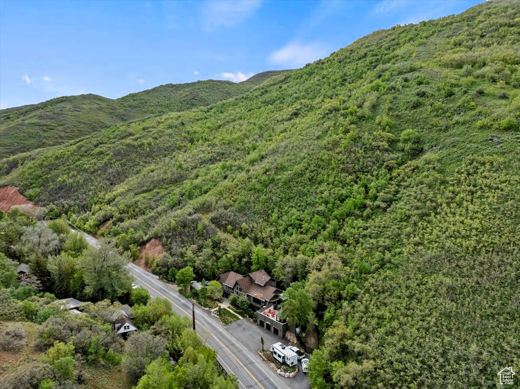 Drone / aerial view of a forest and a mountainous background