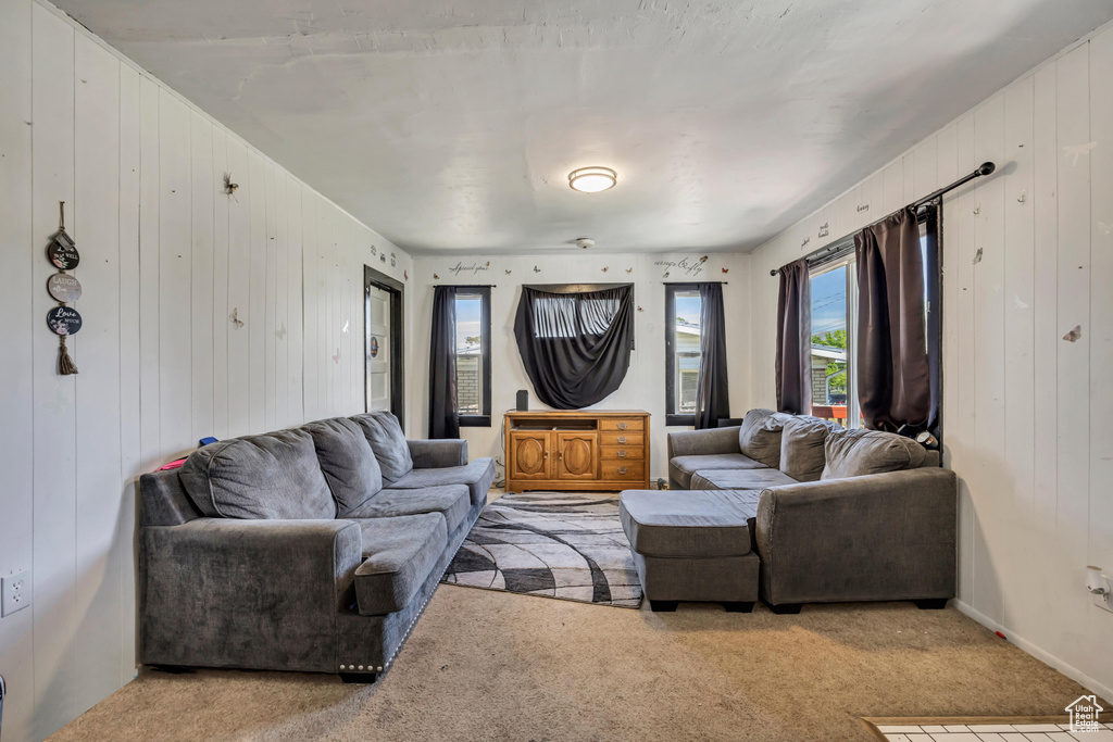 Carpeted living area with wooden walls