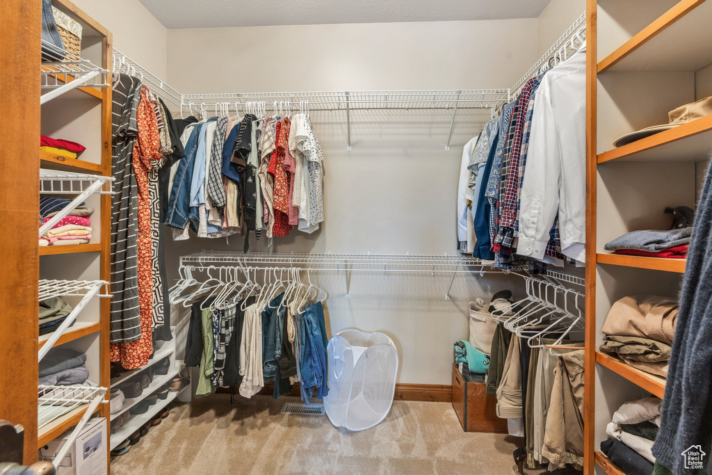 Spacious closet with carpet flooring