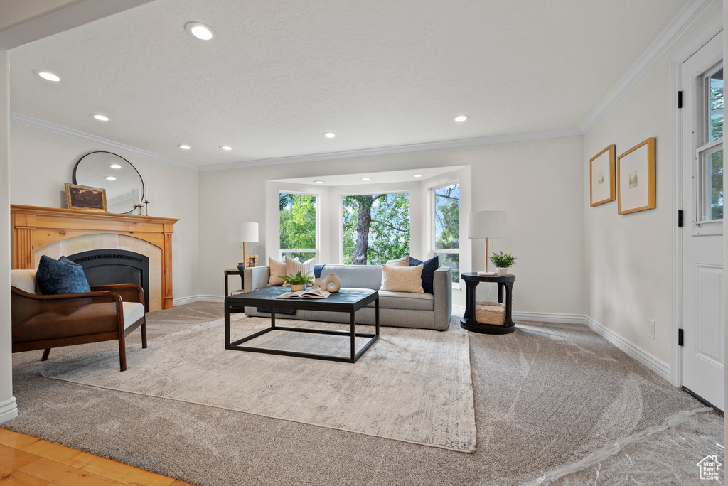 Living area featuring crown molding, a tile fireplace, baseboards, recessed lighting, and wood finished floors
