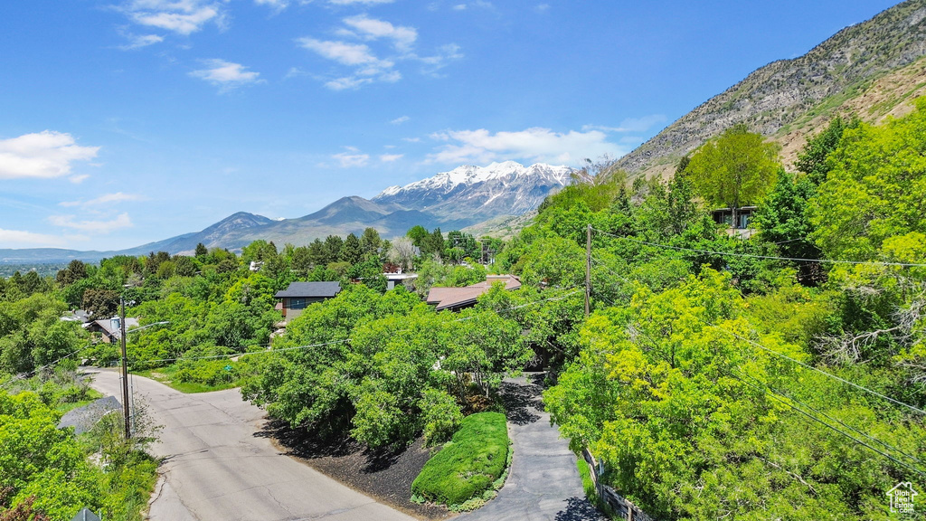 Mountain view