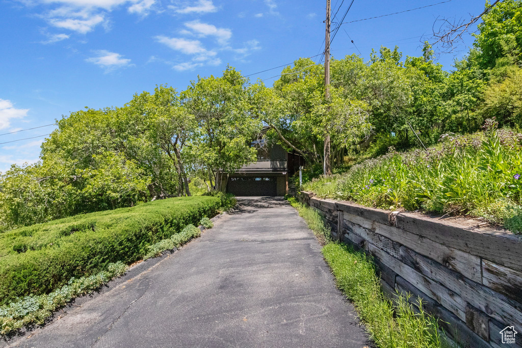 View of asphalt driveway
