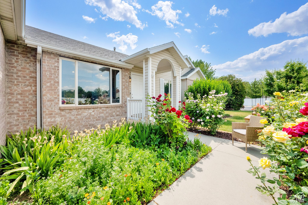 Entrance to property with brick siding and roof with shingles