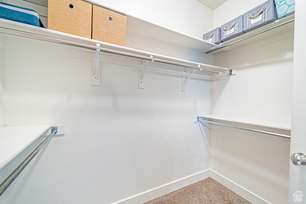 Walk in closet featuring carpet