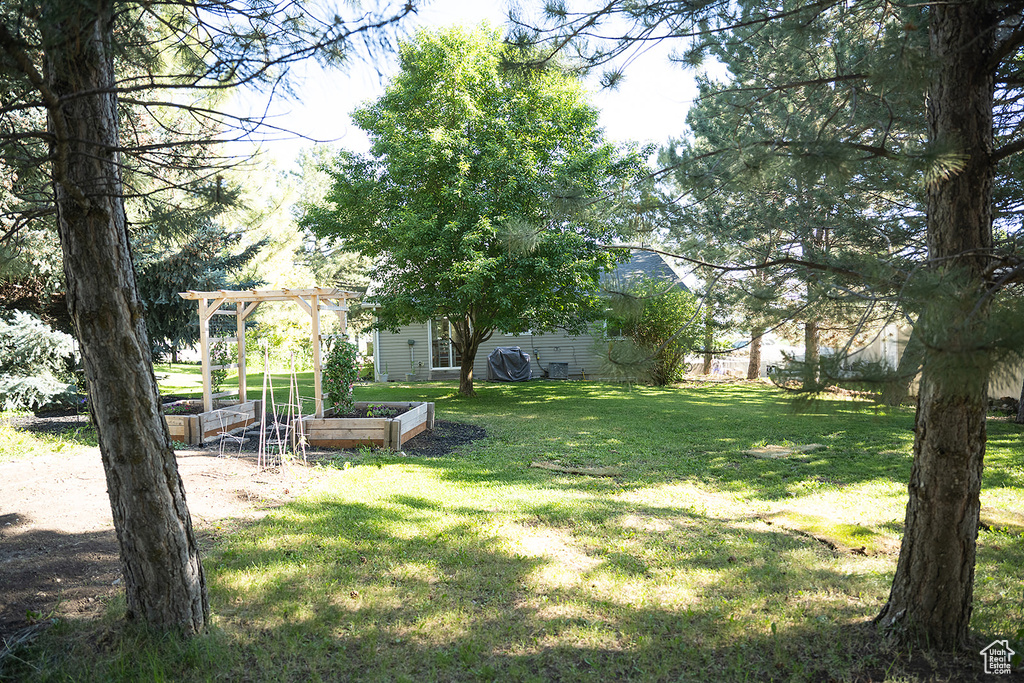 View of yard featuring a vegetable garden and a pergola