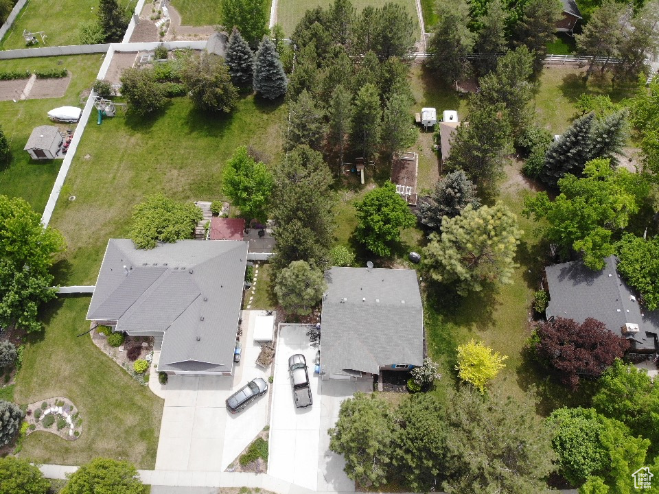 Bird\'s eye view