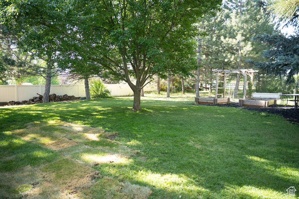 View of yard with a vegetable garden