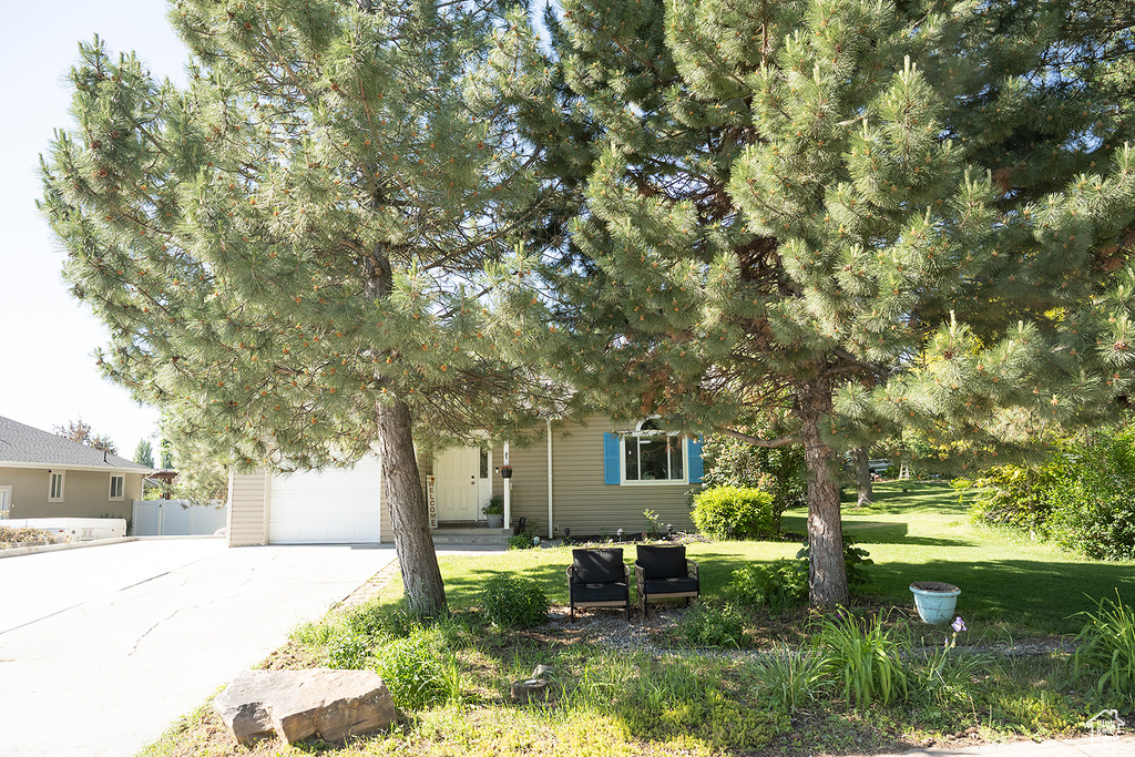View of property hidden behind natural elements with driveway and an attached garage