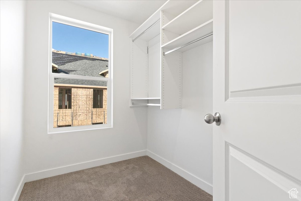 Spacious closet with carpet flooring