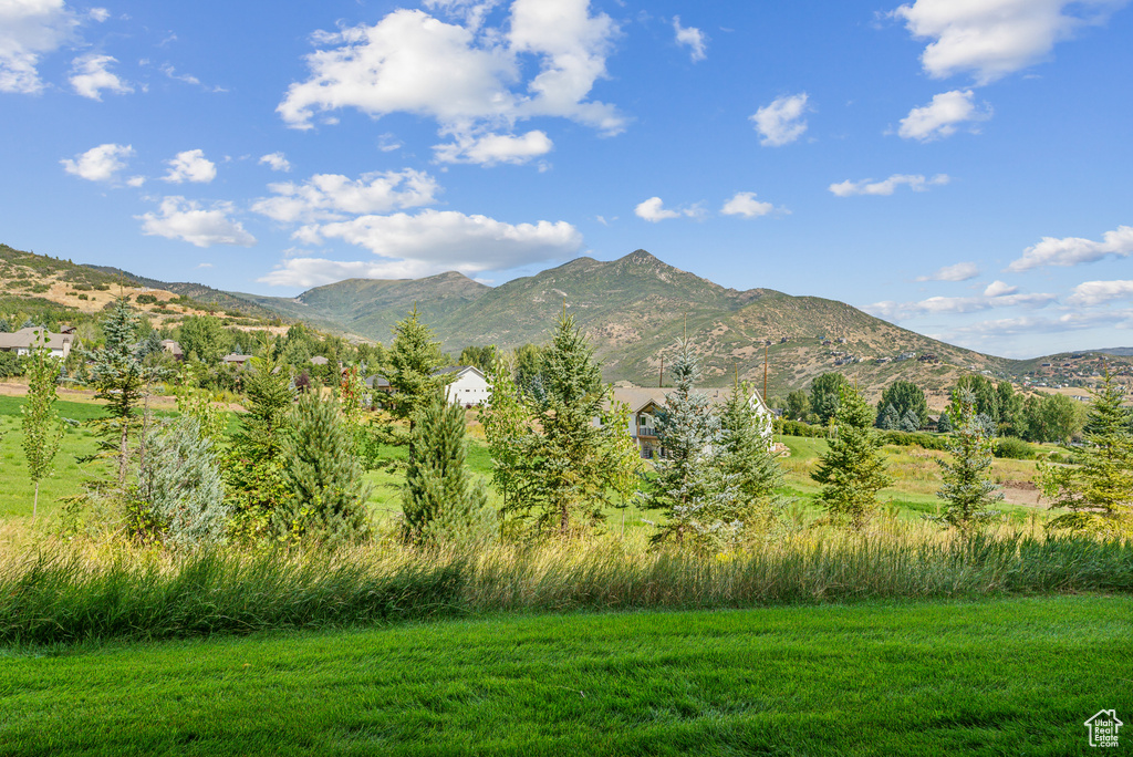 View of mountain background