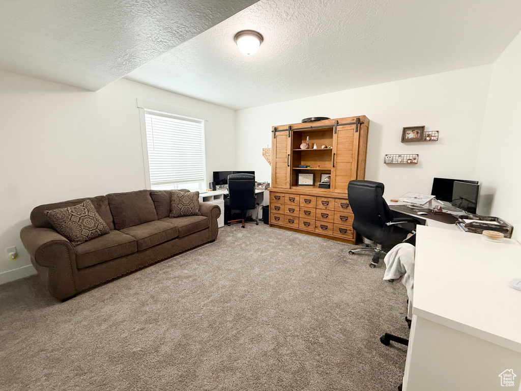 Home office with carpet and a textured ceiling