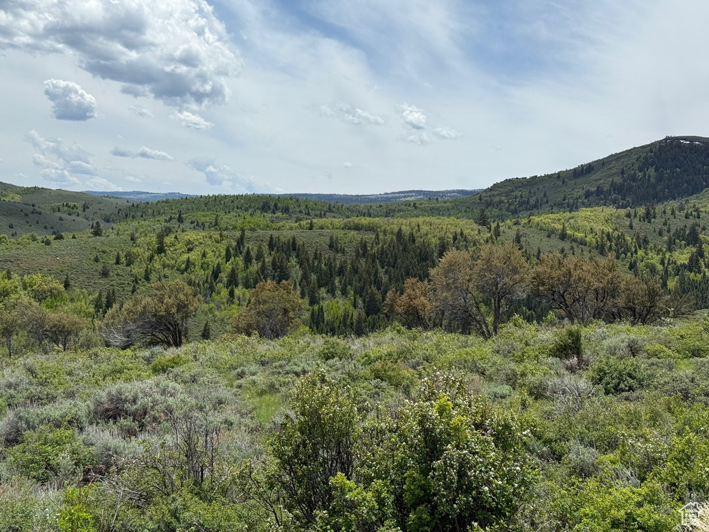Mountain view featuring a forest