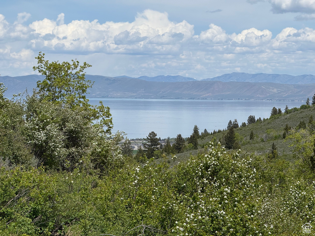 Water view with a mountainous background